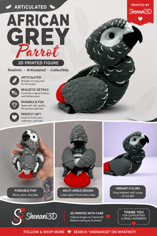 African Grey Parrot